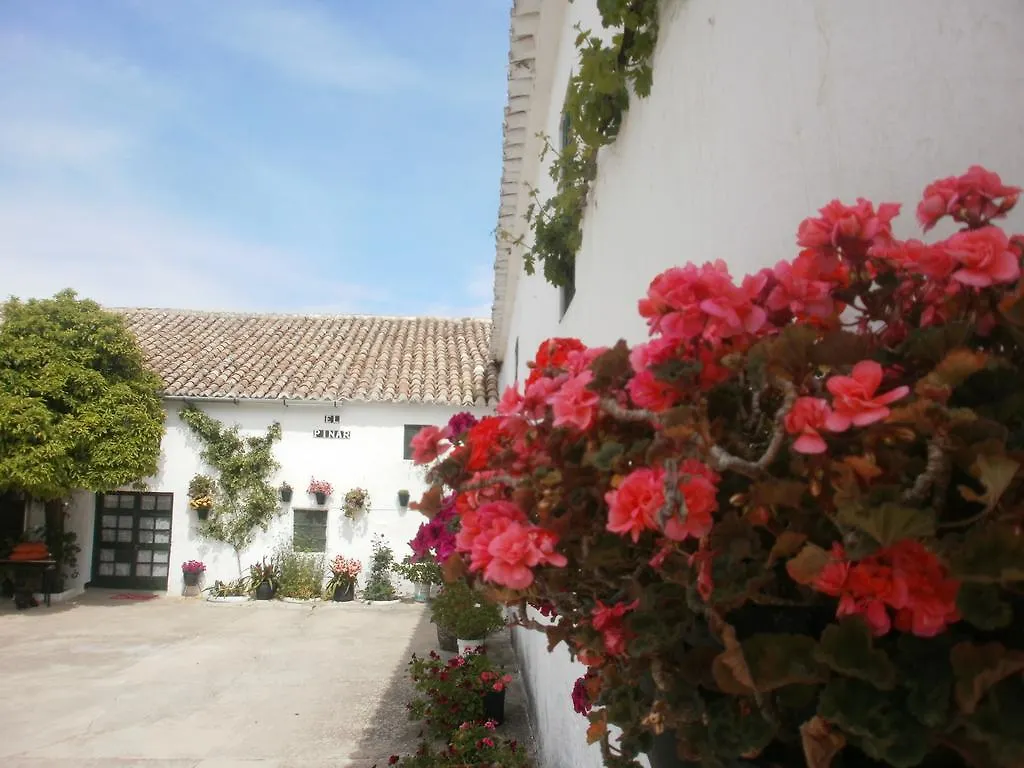 Country house Cortijo El Pinar Guest House Montilla Spain