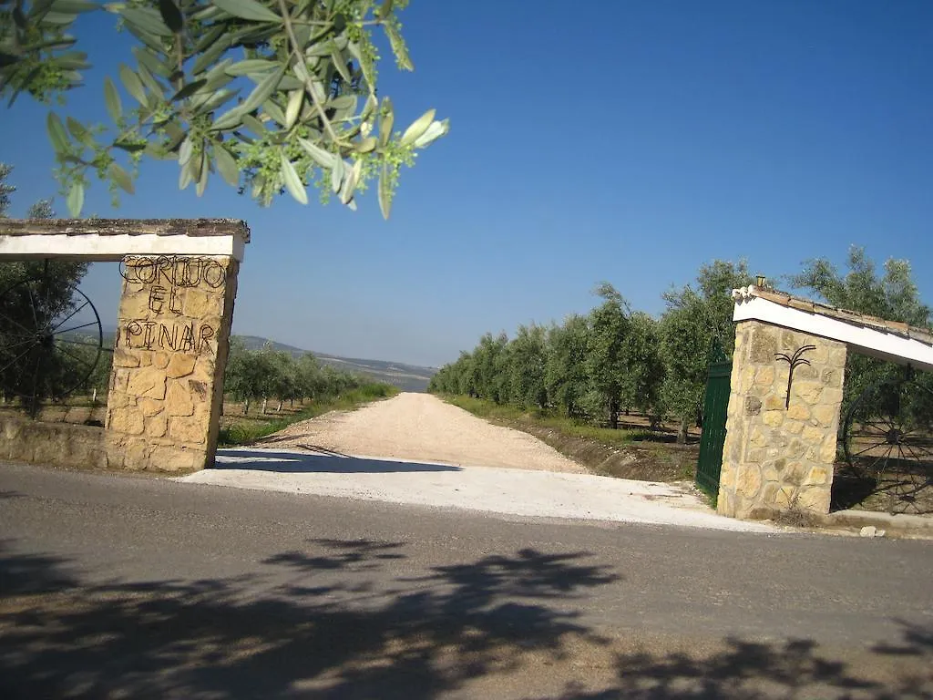 Cortijo El Pinar Guest House Montilla 0*,  Spain