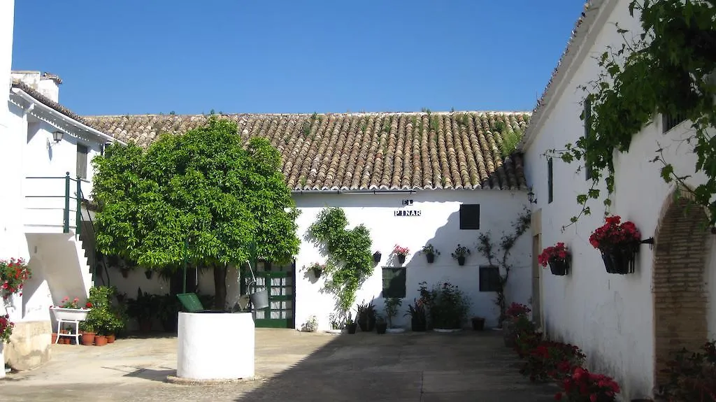 Cortijo El Pinar Guest House Montilla Country house